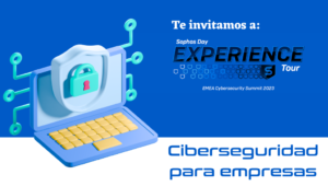 Ciberseguridad para empresas en Valencia